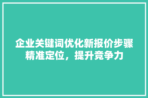 企业关键词优化新报价步骤精准定位，提升竞争力