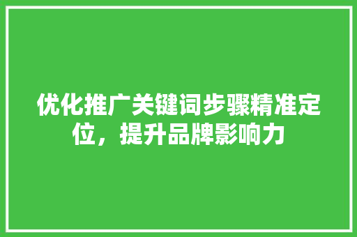 优化推广关键词步骤精准定位，提升品牌影响力