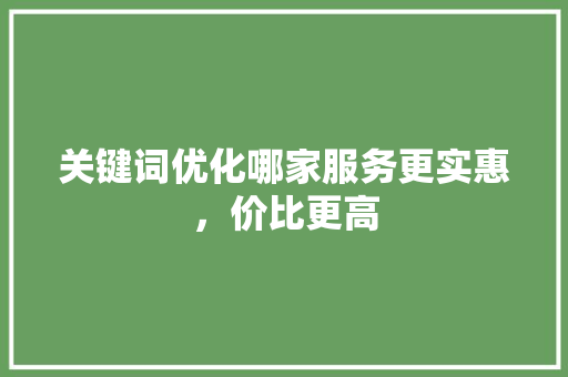 关键词优化哪家服务更实惠，价比更高