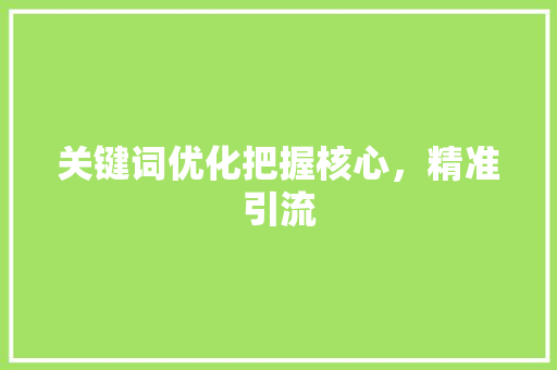 关键词优化把握核心，精准引流