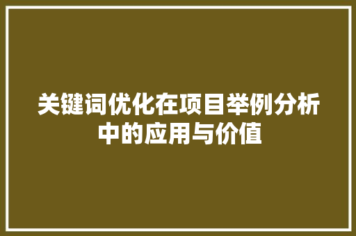 关键词优化在项目举例分析中的应用与价值