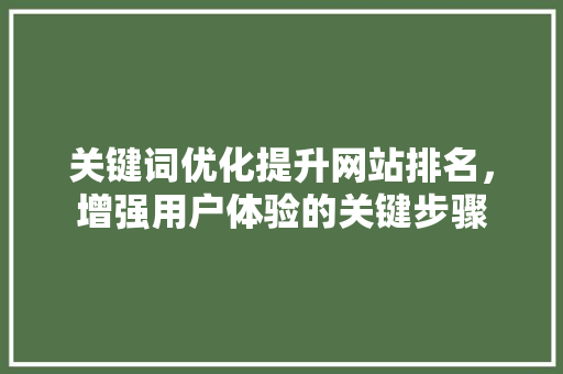 关键词优化提升网站排名，增强用户体验的关键步骤