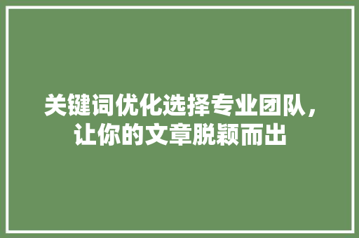 关键词优化选择专业团队，让你的文章脱颖而出