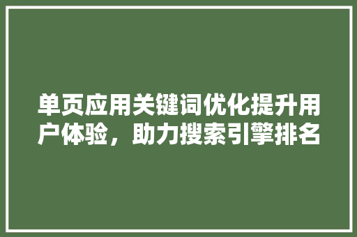 单页应用关键词优化提升用户体验，助力搜索引擎排名