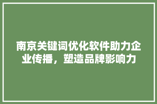 南京关键词优化软件助力企业传播，塑造品牌影响力