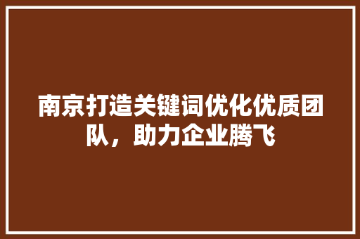 南京打造关键词优化优质团队，助力企业腾飞