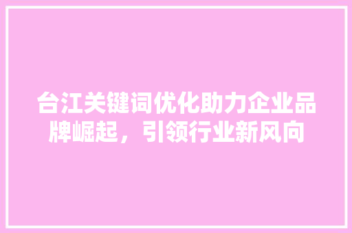 台江关键词优化助力企业品牌崛起，引领行业新风向