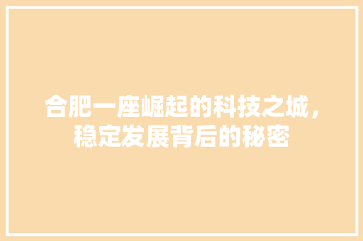 合肥一座崛起的科技之城，稳定发展背后的秘密