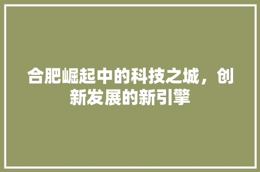 合肥崛起中的科技之城，创新发展的新引擎