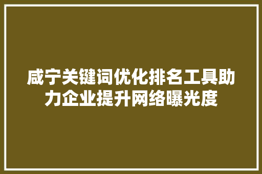 咸宁关键词优化排名工具助力企业提升网络曝光度
