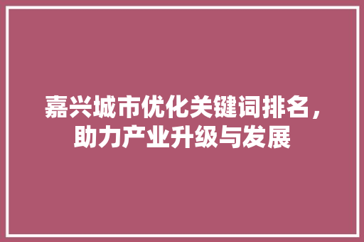 嘉兴城市优化关键词排名，助力产业升级与发展