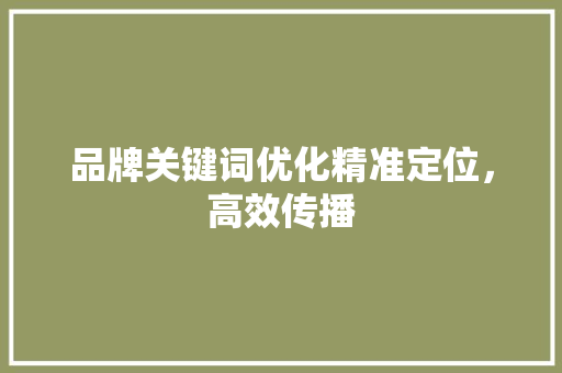 品牌关键词优化精准定位，高效传播