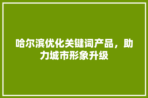 哈尔滨优化关键词产品，助力城市形象升级