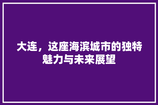 大连，这座海滨城市的独特魅力与未来展望