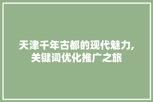 天津千年古都的现代魅力,关键词优化推广之旅