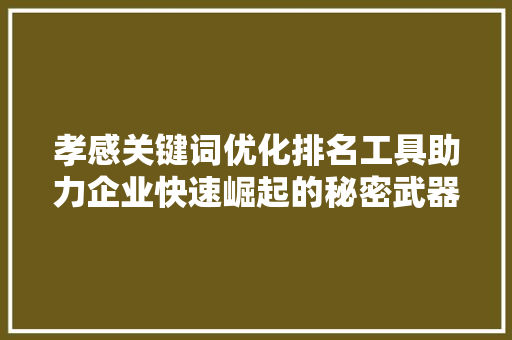 孝感关键词优化排名工具助力企业快速崛起的秘密武器