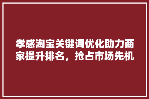 孝感淘宝关键词优化助力商家提升排名，抢占市场先机