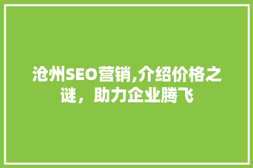 沧州SEO营销,介绍价格之谜，助力企业腾飞
