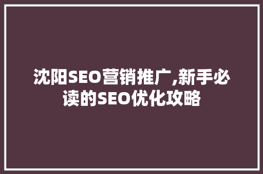 沈阳SEO营销推广,新手必读的SEO优化攻略