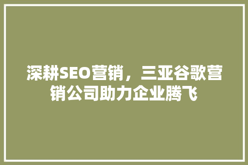 深耕SEO营销，三亚谷歌营销公司助力企业腾飞