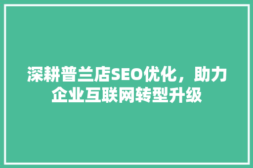 深耕普兰店SEO优化，助力企业互联网转型升级