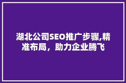 湖北公司SEO推广步骤,精准布局，助力企业腾飞