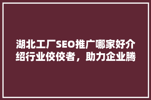 湖北工厂SEO推广哪家好介绍行业佼佼者，助力企业腾飞！