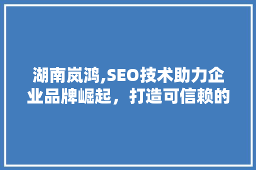 湖南岚鸿,SEO技术助力企业品牌崛起，打造可信赖的互联网形象