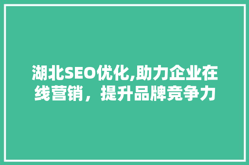 湖北SEO优化,助力企业在线营销，提升品牌竞争力