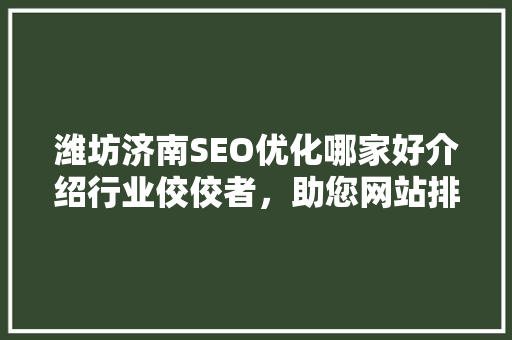 潍坊济南SEO优化哪家好介绍行业佼佼者，助您网站排名起飞