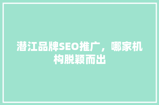 潜江品牌SEO推广，哪家机构脱颖而出