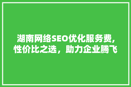 湖南网络SEO优化服务费,性价比之选，助力企业腾飞
