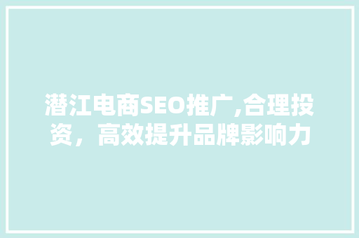 潜江电商SEO推广,合理投资，高效提升品牌影响力