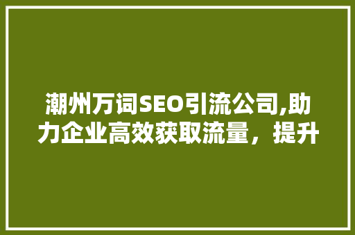 潮州万词SEO引流公司,助力企业高效获取流量，提升品牌影响力