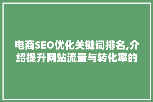 电商SEO优化关键词排名,介绍提升网站流量与转化率的方法