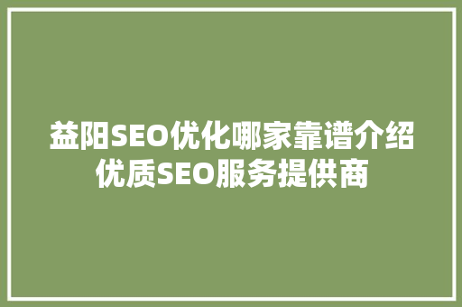 益阳SEO优化哪家靠谱介绍优质SEO服务提供商