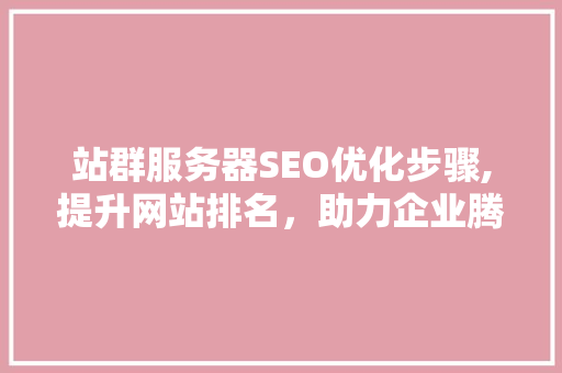 站群服务器SEO优化步骤,提升网站排名，助力企业腾飞