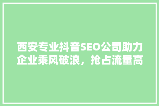 西安专业抖音SEO公司助力企业乘风破浪，抢占流量高地