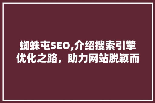 蜘蛛屯SEO,介绍搜索引擎优化之路，助力网站脱颖而出