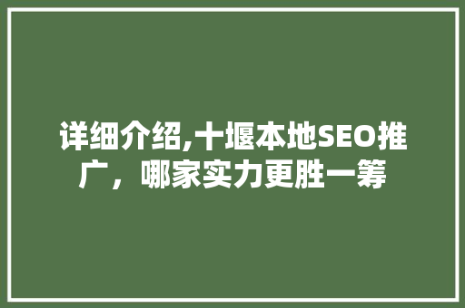 详细介绍,十堰本地SEO推广，哪家实力更胜一筹