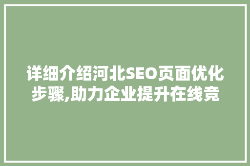 详细介绍河北SEO页面优化步骤,助力企业提升在线竞争力