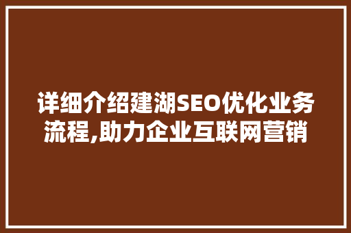 详细介绍建湖SEO优化业务流程,助力企业互联网营销新篇章