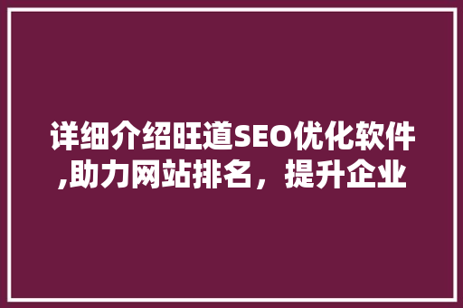 详细介绍旺道SEO优化软件,助力网站排名，提升企业竞争力
