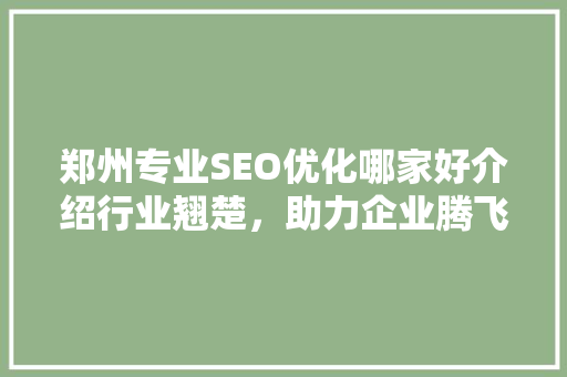 郑州专业SEO优化哪家好介绍行业翘楚，助力企业腾飞