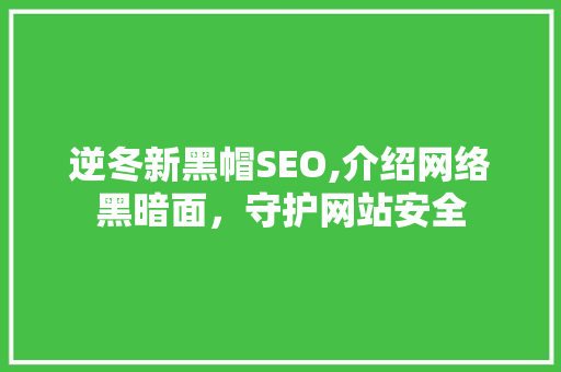 逆冬新黑帽SEO,介绍网络黑暗面，守护网站安全