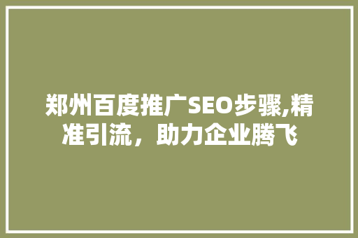 郑州百度推广SEO步骤,精准引流，助力企业腾飞
