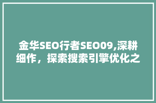 金华SEO行者SEO09,深耕细作，探索搜索引擎优化之路
