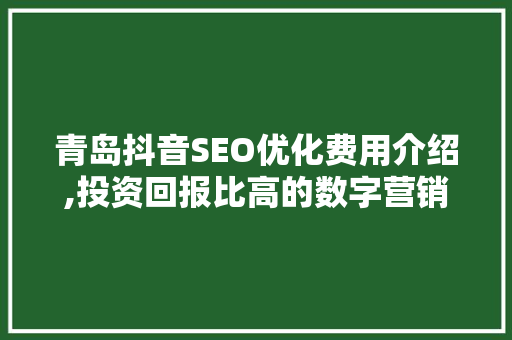 青岛抖音SEO优化费用介绍,投资回报比高的数字营销步骤