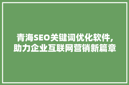 青海SEO关键词优化软件,助力企业互联网营销新篇章