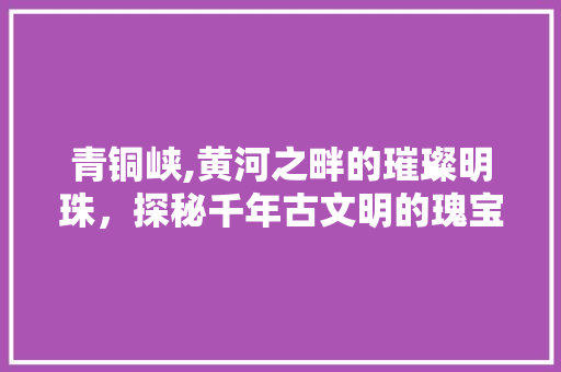 青铜峡,黄河之畔的璀璨明珠，探秘千年古文明的瑰宝